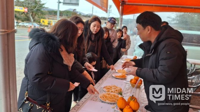 제주 만감류, 수입 만다린 비교 시식회