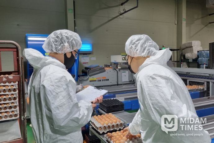식용란 선별 포장업 점검