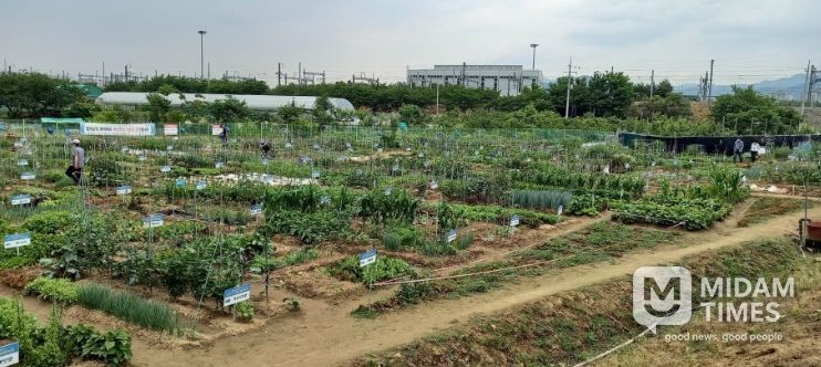 수성구 공영도시농업농장 전경