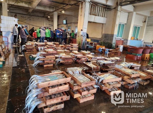 제주도, 설 명절 대비 제주산 수산물 안전관리 강화