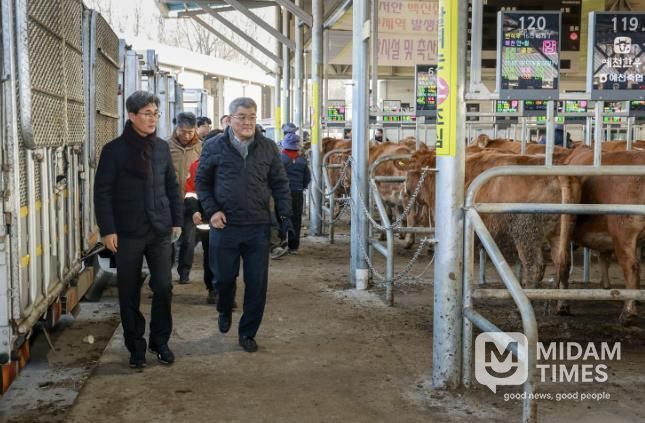 새해우시장방문