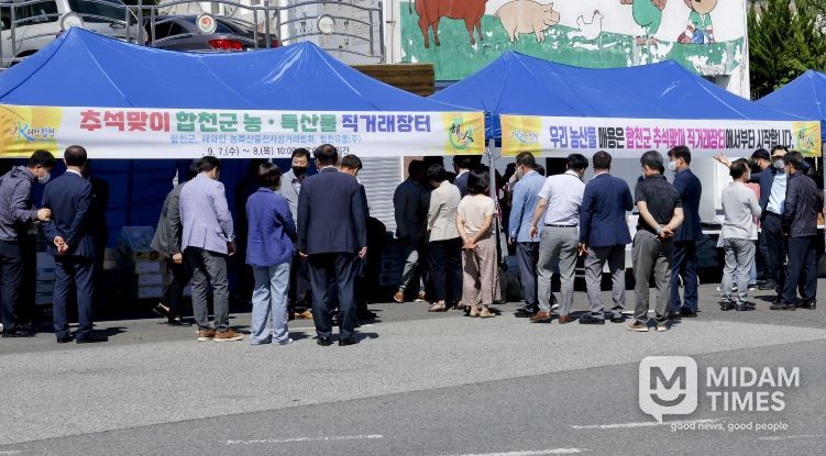 2026년 설맞이 합천군 농특산물 직거래장터 운영