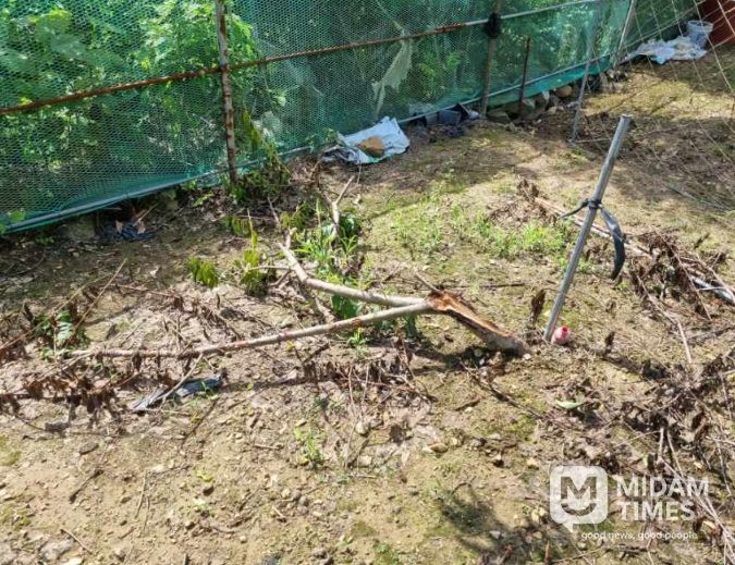 김해시, 야생동물 피해 보상