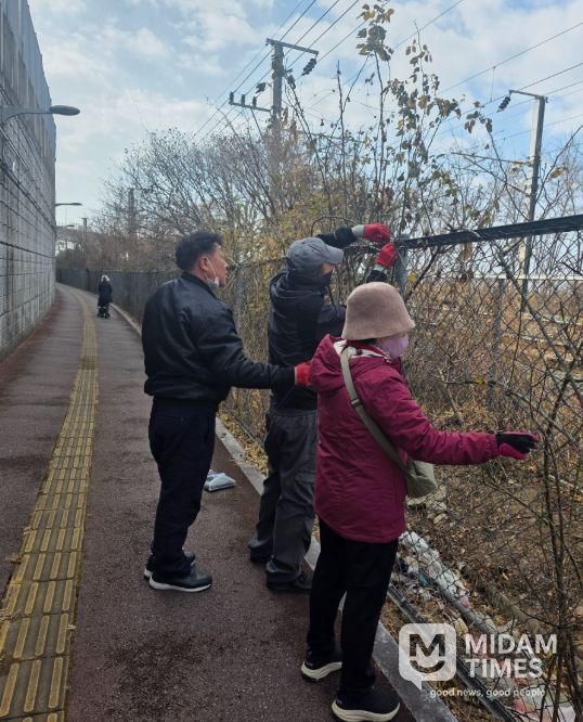 한국자유총연맹 금곡동위원회, 낙동강 동원진 장미꽃길 환경정비
