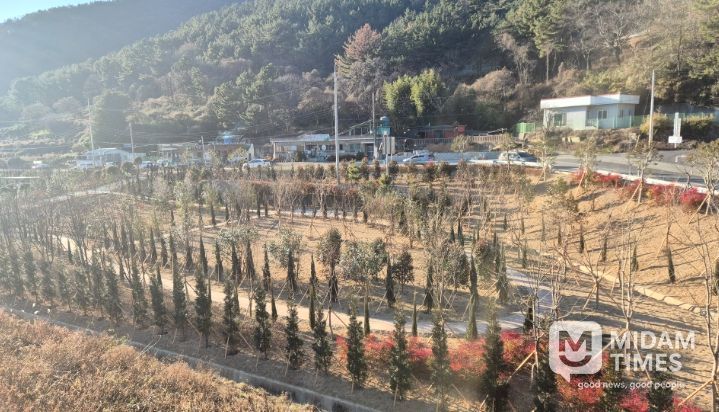 고성군, 유휴부지를 녹색 쉼터로 탈바꿈