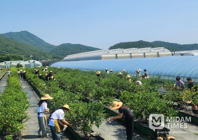 청년 여성농업인 농작업