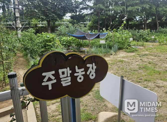 주말농장 무상 분양 실시