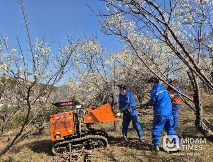 도서지역 취약농가 대상 영농부산물 파쇄 지원