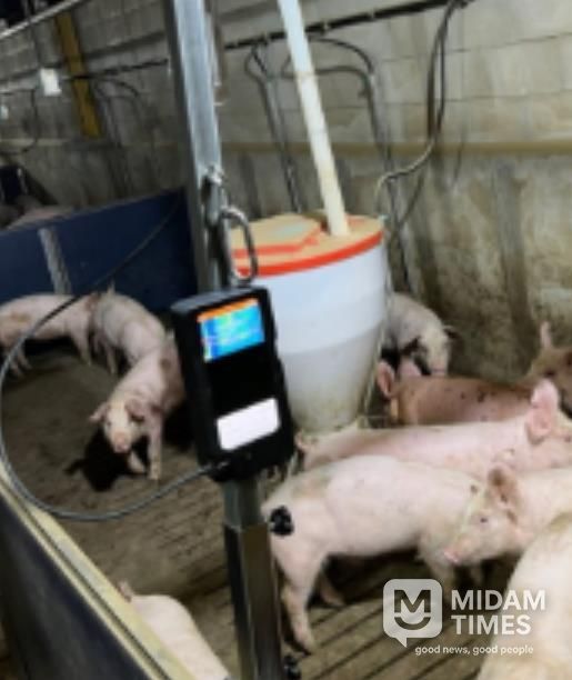 출하선별시스템