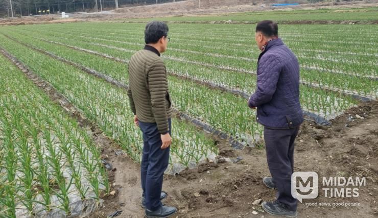 강진군 관계자가 강진관내 마늘농장을 방문했다.