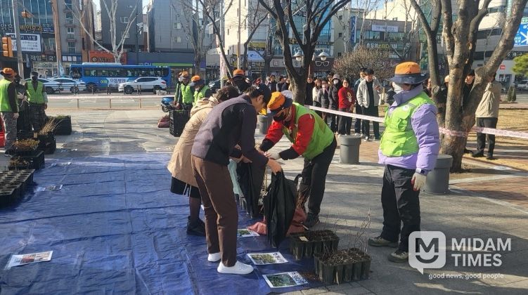2025년 나무 나누어주기 행사 사진