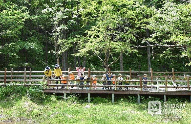 산소카페 청송군, 2026 산림정책 발표-유아숲 운영