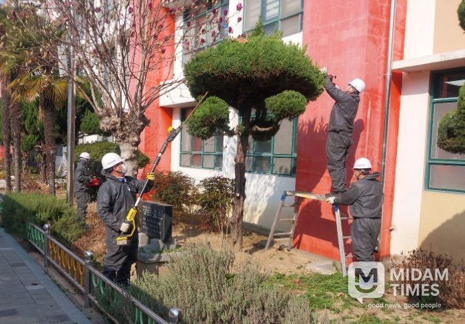시설관리 지원 사업(수목 전정)