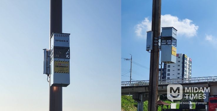 금창교 일원에 설치된 포충기