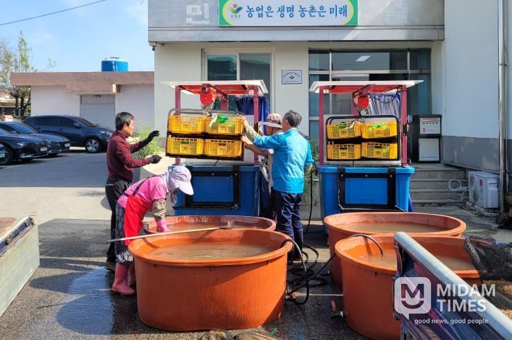 벼 종자 온탕소독 지원