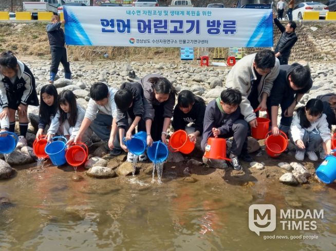 연어어린고기방류