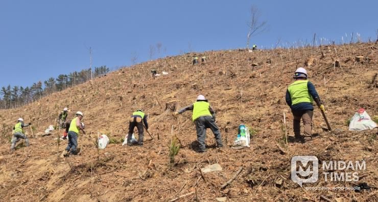 창원특례시, 조림‧숲가꾸기 사업으로 건강한 산림 조성
