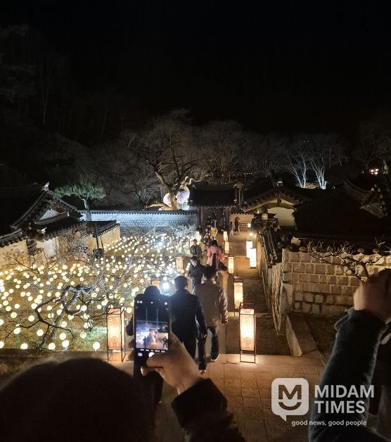안동시, 도산서원 야간개장 '매화춘야(梅花春夜)' 이번 주말 '절정'