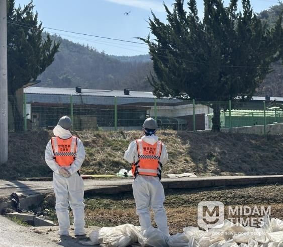 고령군, 아프리카돼지열병 긴급방역 강화!