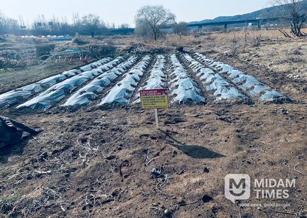 대구 북구, 금호강 불법행위 행정대집행 실시