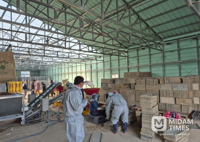 울진군, 기후변화 대응‘못자리 10일 늦추기’추진