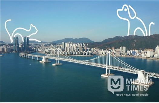 캠페인 홍보 스틸컷