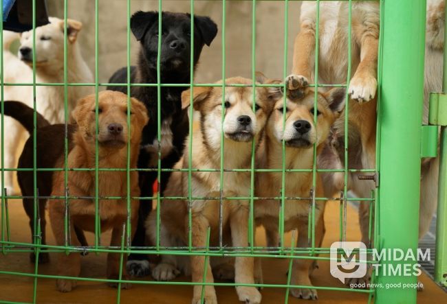 반려동물 지원 대폭 확대