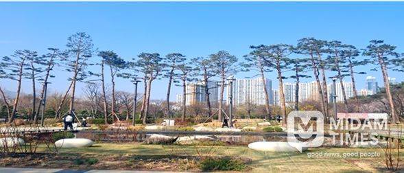 2024. 남구 평화공원(유엔평화의 숲) 기후대응 도시숲 조성사업 완료사진