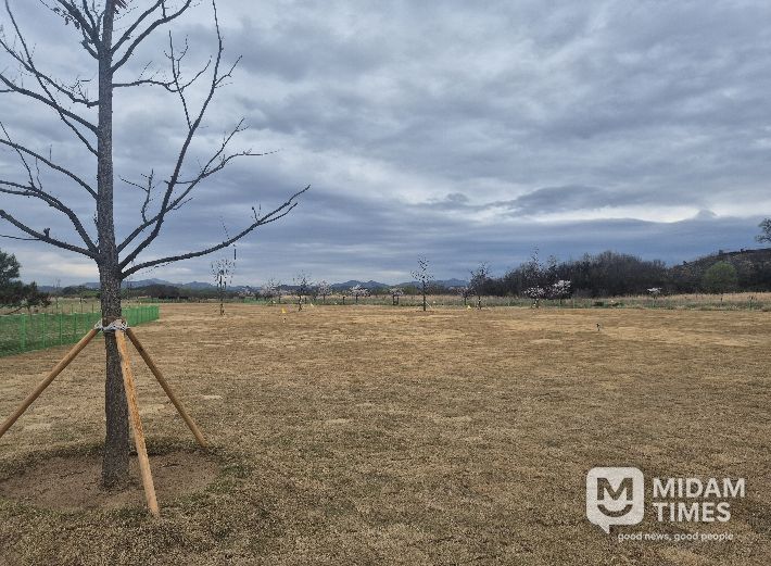 대산파크골프장 교육장 22홀 조성