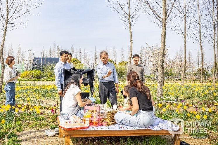 계양아라온 수선화 절정... 윤환 구청장 현장 점검